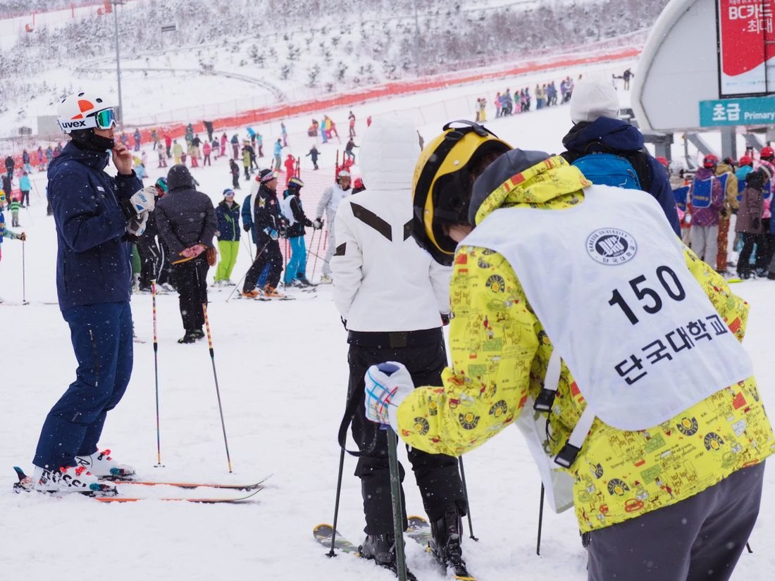 Skiers at the bottom of a beginner slope at a Korean ski resort in falling snow; a sign reads 초급 Primary, a banner reads BC카드, and one skier wears a numbered Dankook University (단국대학교) bib.