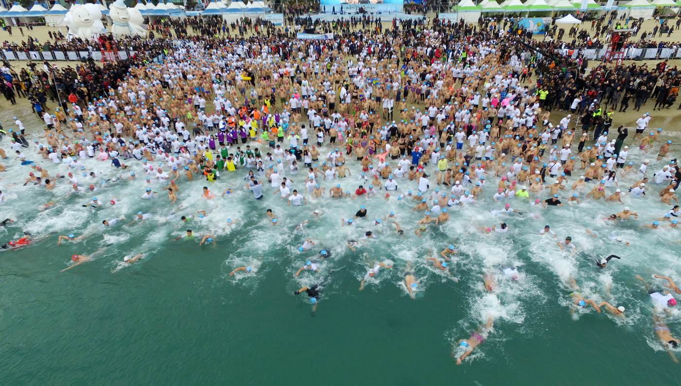 Hundreds of swimmers in caps running into the sea at Haeundae Beach in Busan in January, with crowds in winter coats on the sand and inflatable polar bears behind them.