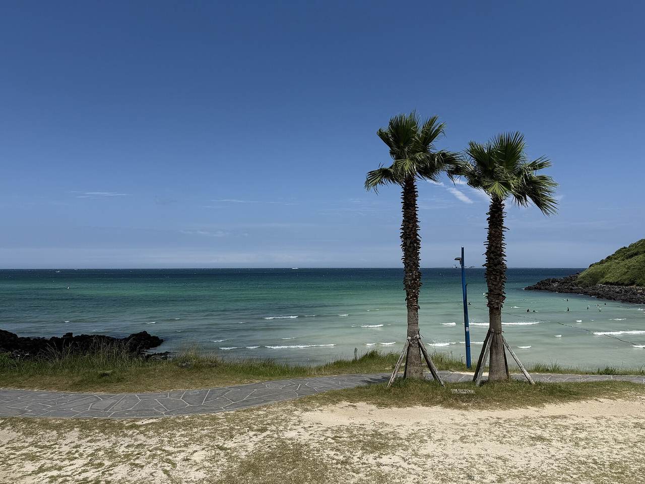 A wide view of a calm turquoise bay from a sandy path lined with two palm trees, with black lava rocks on the left and a green hill on the right where swimmers are in the water.