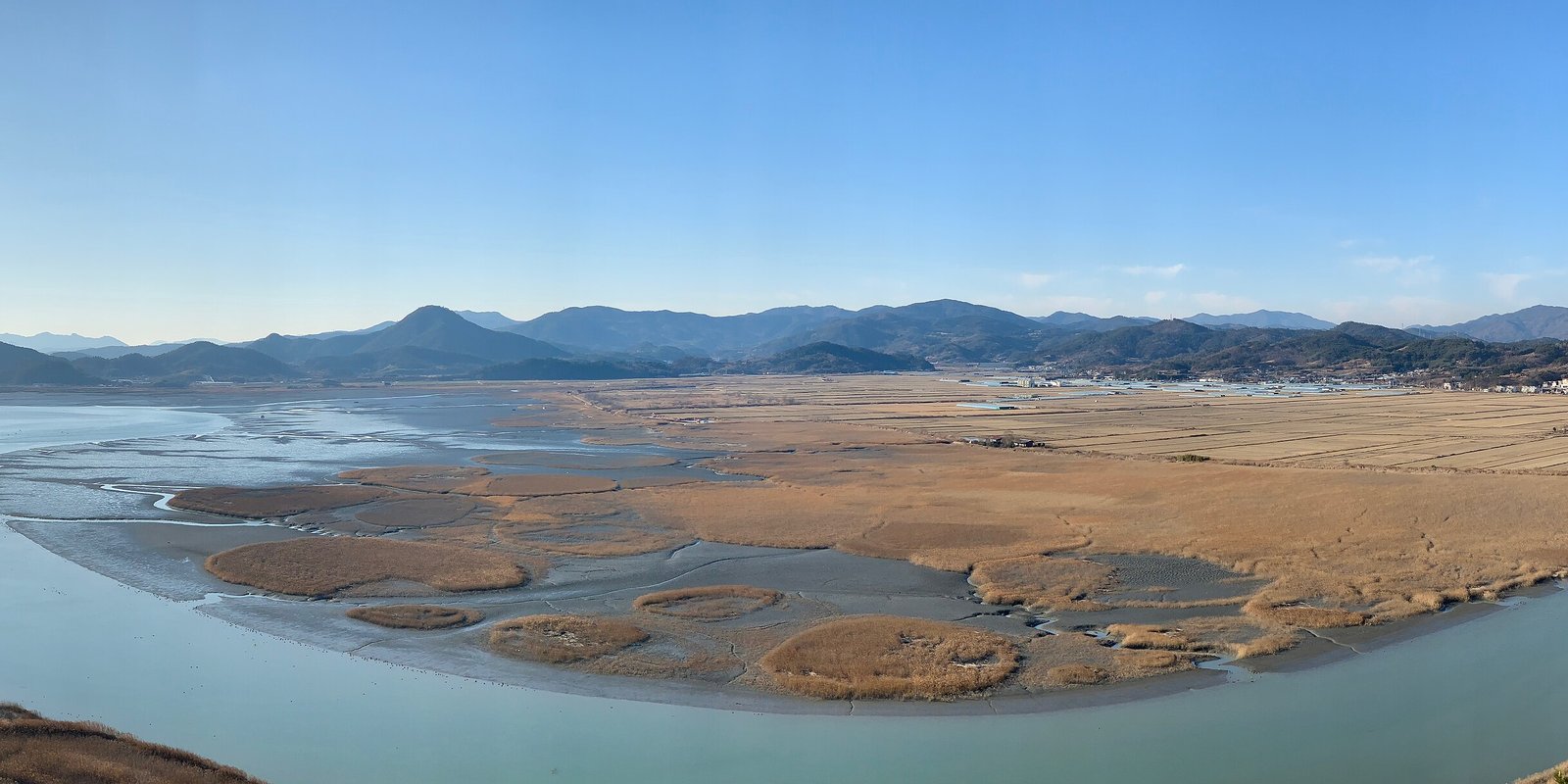 The reed beds of Suncheon Bay seen from the Yongsan hill: round islands of tan, dried reeds inside a curving tidal channel, mudflats and low mountains behind, under a clear sky on 31 December 2018.