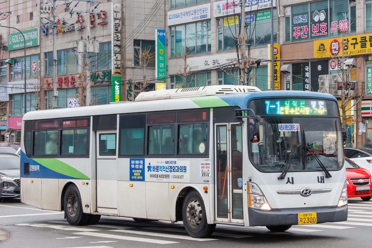 A white, blue and green Sokcho city bus with a route 7-1 LED destination board, operated by Gangwon Bus Lines, crossing a street in Sokcho in front of shops with Korean signs, March 2026.