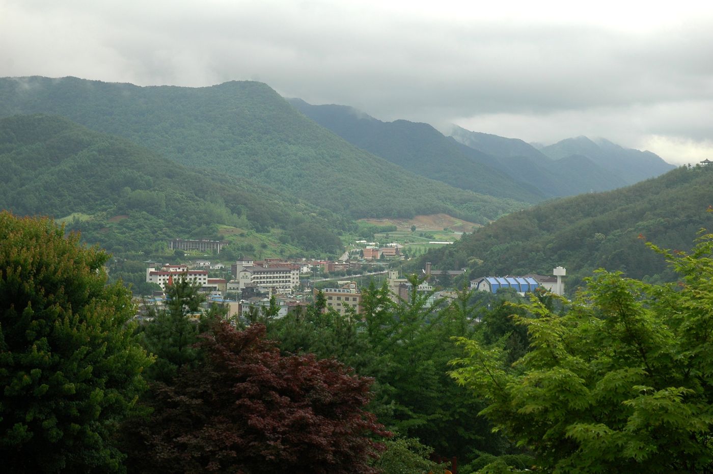 A green, misty mountain valley with a small town of hotels and low buildings along the valley floor and dense trees in the foreground.
